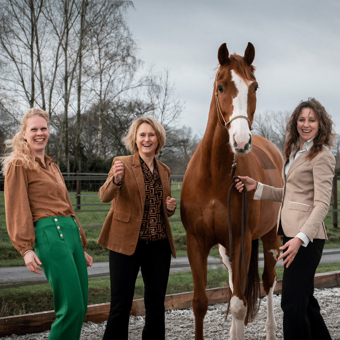 Groep deelnemers verdiept zich in de werking van stress en het brein tijdens de Inner Power Dag.