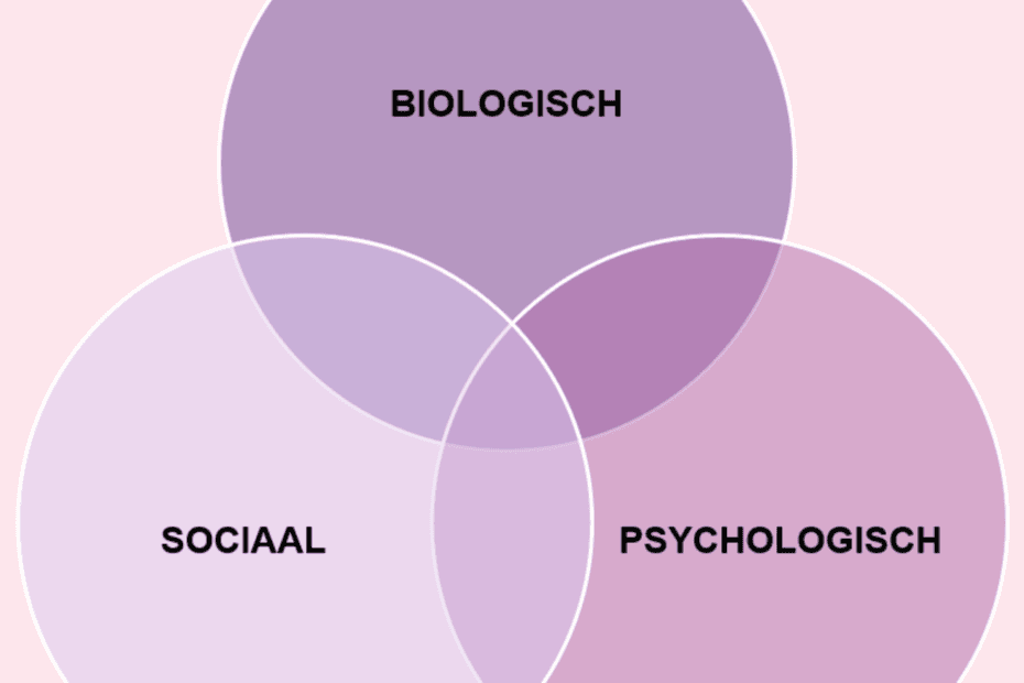 Het welzijnsmodel van George Engel, dat het belang van sociale, psychologische en biologische factoren voor een gezond leven benadrukt.