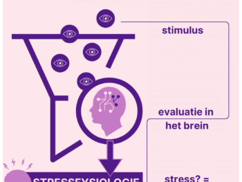 Wist je dat het stimulus-respons principe een belangrijke rol speelt bij stress en angst?