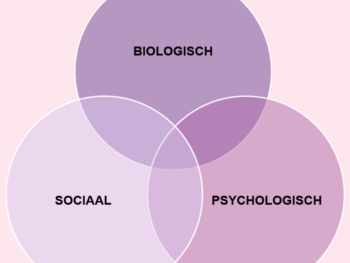 Het welzijnsmodel van George Engel, dat het belang van sociale, psychologische en biologische factoren voor een gezond leven benadrukt.